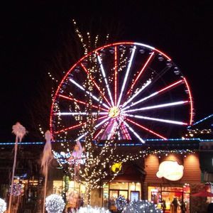 Meet your Posher, Sherrie